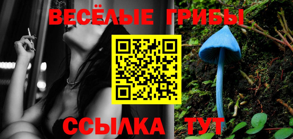 Галлюциногенные грибы Psilocybine cubensis  Вход с VPN  купить   Алушта 
