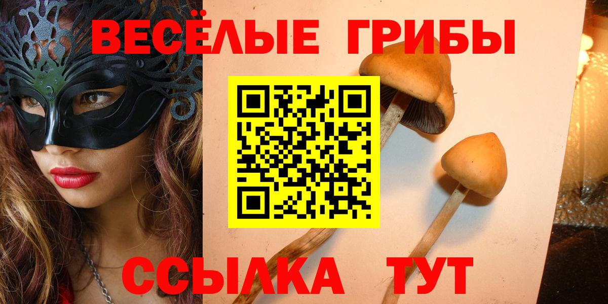 Псилоцибиновые грибы GOLDEN TEACHER Алушта